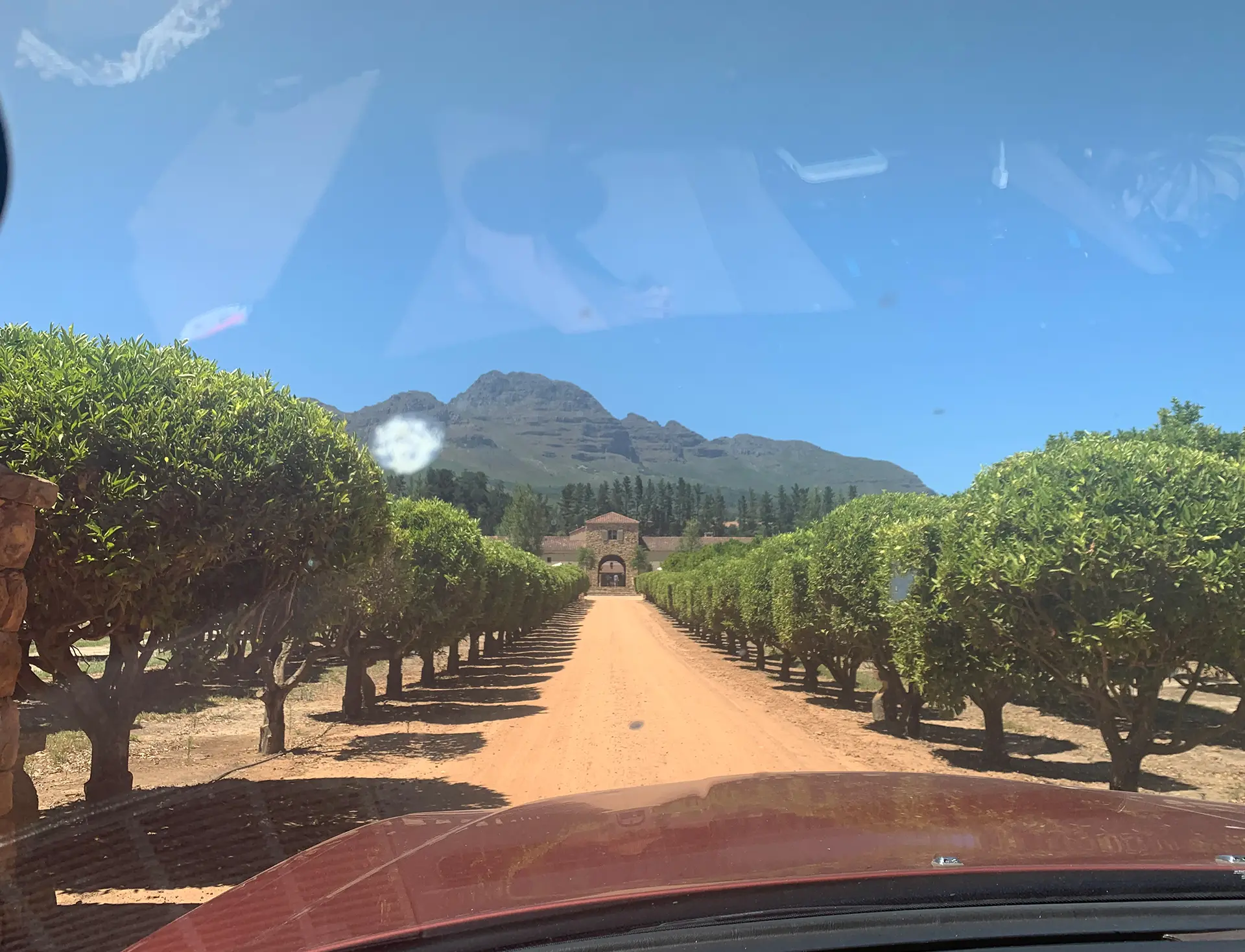 Silvia Radulova :: Travels :: south africa
