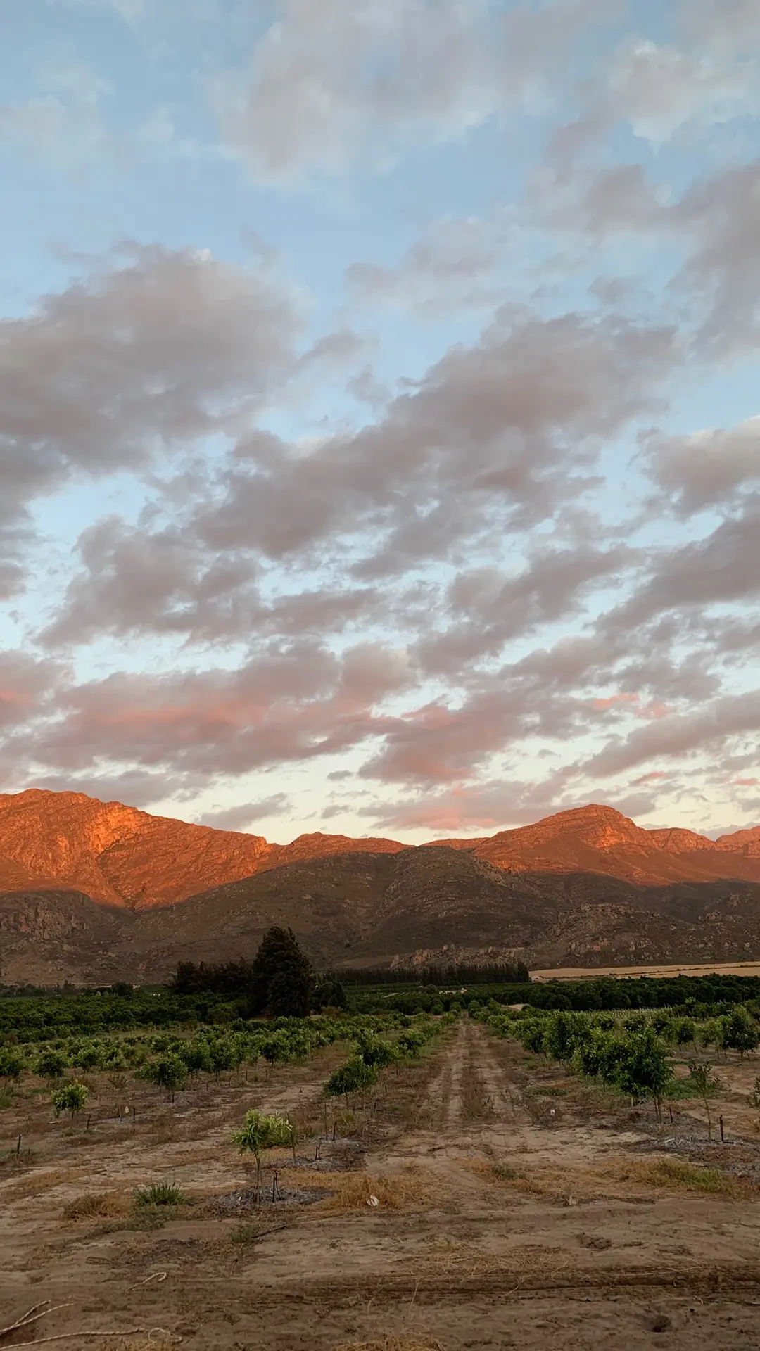 Silvia Radulova :: Travels :: south africa